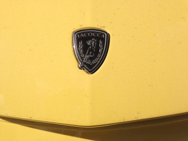 What did you do with your Mustang today?*-image-749728163.jpg