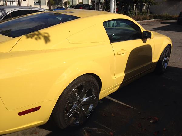 What did you do with your Mustang today?*-image-346497914.jpg