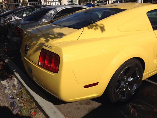 What did you do with your Mustang today?*-image-1443693987.jpg