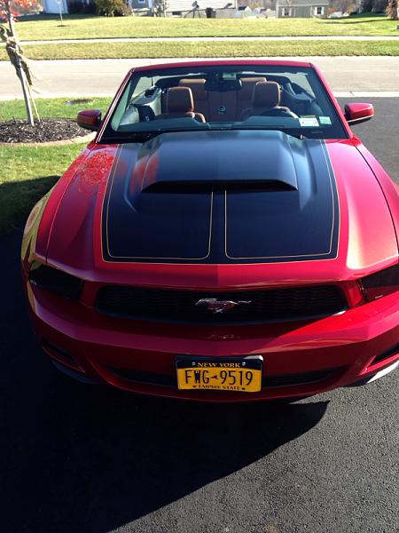 What did you do with your Mustang today?*-image-3834438592.jpg