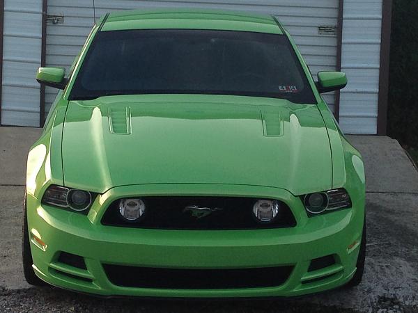 What did you do with your Mustang today?*-mm5.jpg