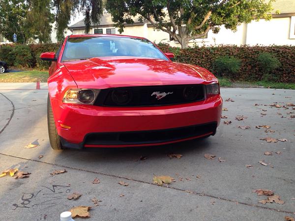 What did you do with your Mustang today?*-image-3578719424.jpg