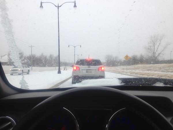 What did you do with your Mustang today?*-image-3194090128.jpg