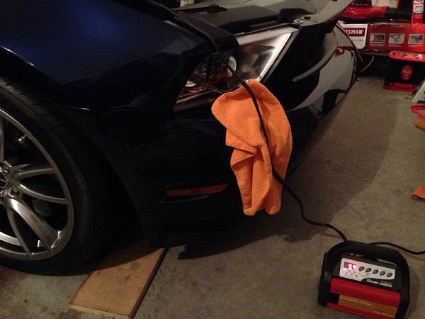 What did you do with your Mustang today?*-image-1473605410.jpg