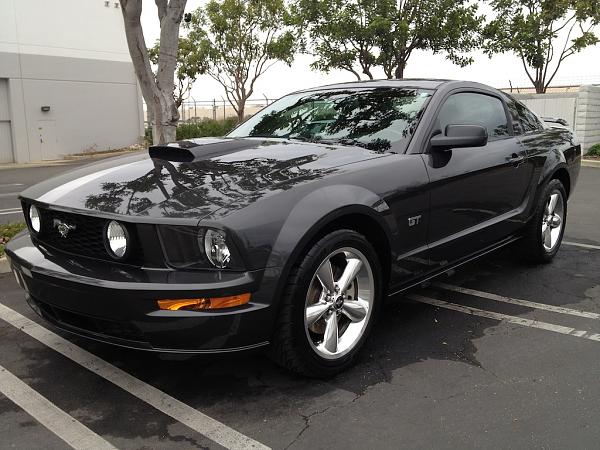 Ponies on The Run!-photo-4.jpg