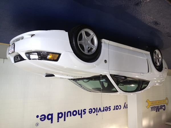 Ponies on The Run!-photo-18.jpg