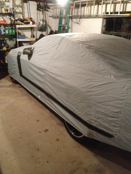 What did you do with your Mustang today?*-image-1672730343.jpg