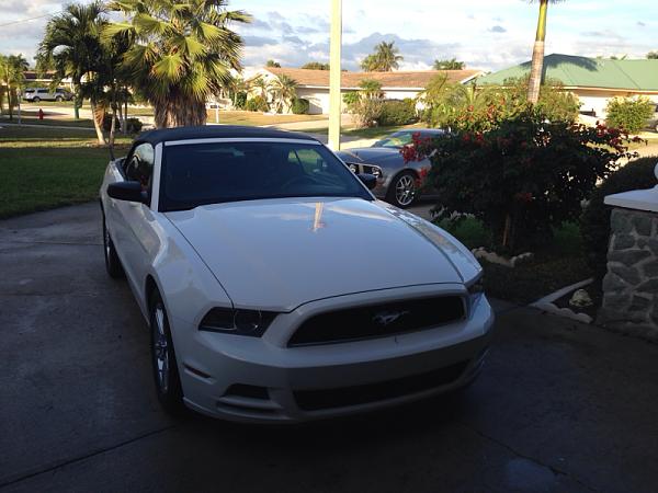 What did you do with your Mustang today?*-image-2443372739.jpg