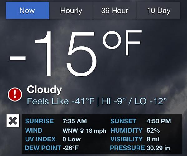 What did you do with your Mustang today?*-image-2653847865.jpg