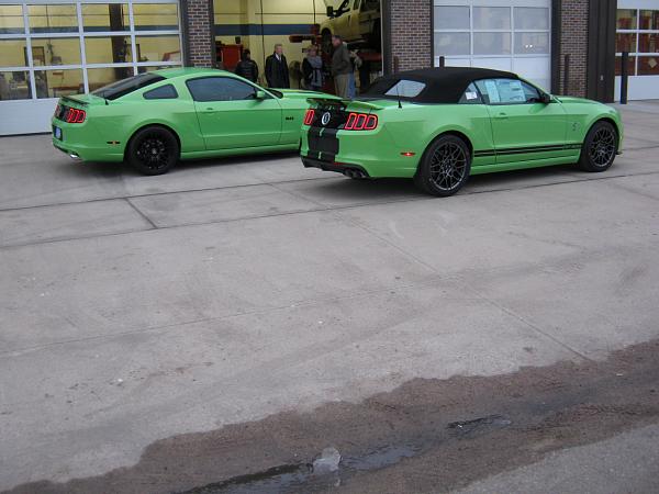 What did you do with your Mustang today?*-ghig-mania-008.jpg