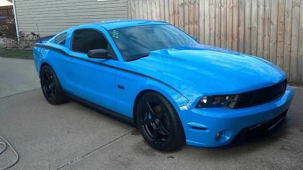 What did you do with your Mustang today?*-image-4173657827.jpg