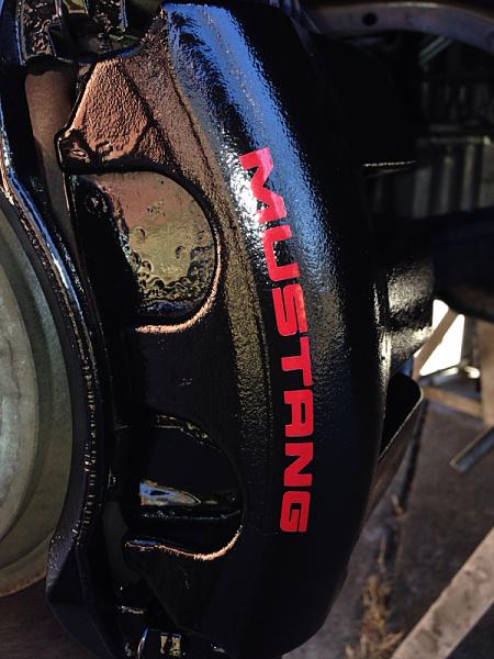 What did you do with your Mustang today?*-image-2031211281.jpg