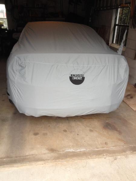 What did you do with your Mustang today?*-image-1425349743.jpg