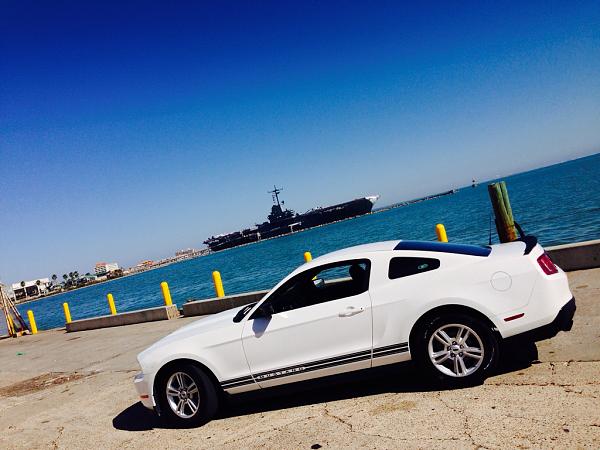 What did you do with your Mustang today?*-image-3678230845.jpg