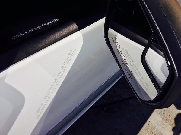 What did you do with your Mustang today?*-image-3286724743.jpg