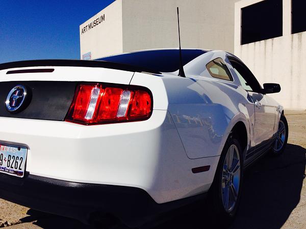 What did you do with your Mustang today?*-image-2680391786.jpg