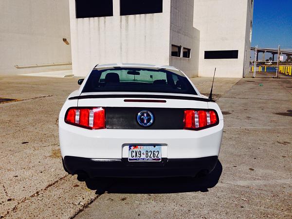 What did you do with your Mustang today?*-image-2196239748.jpg