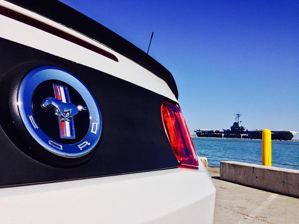 What did you do with your Mustang today?*-image-3328222034.jpg