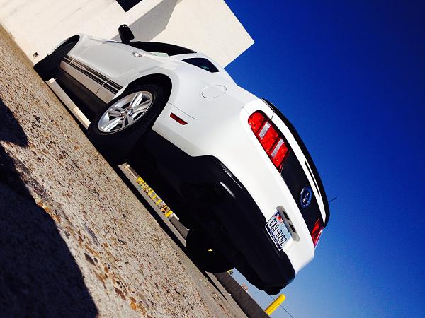 What did you do with your Mustang today?*-image-2483814513.jpg