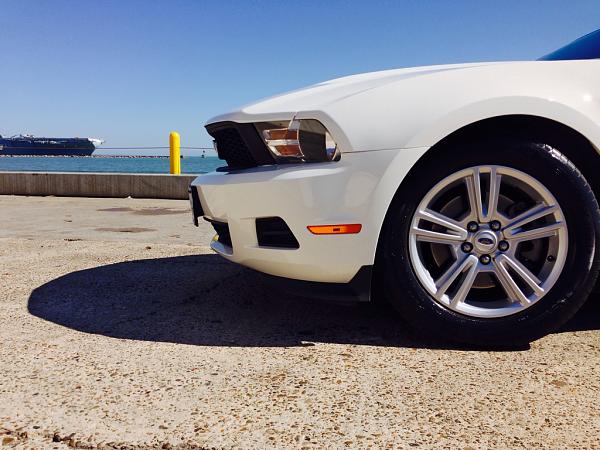 What did you do with your Mustang today?*-image-453668314.jpg