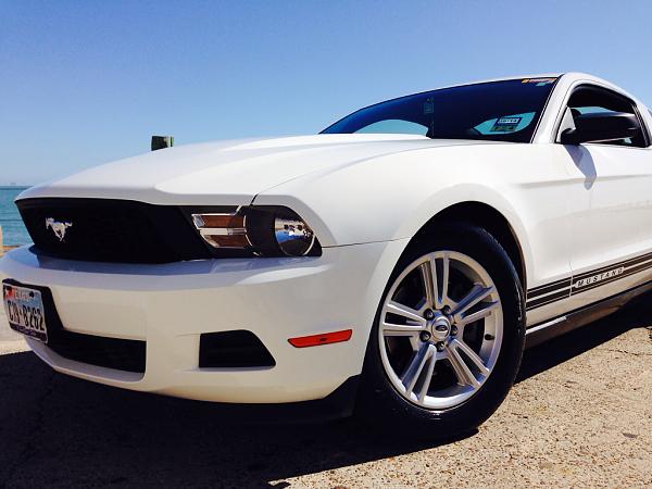 What did you do with your Mustang today?*-image-3188894227.jpg