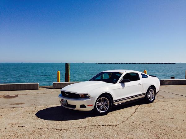 What did you do with your Mustang today?*-image-1211577066.jpg