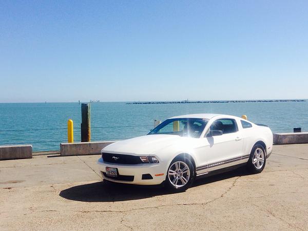 What did you do with your Mustang today?*-image-165517417.jpg