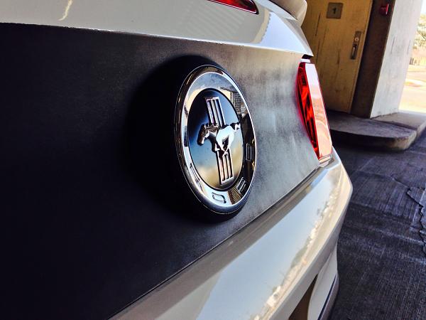 What did you do with your Mustang today?*-image-1704515736.jpg