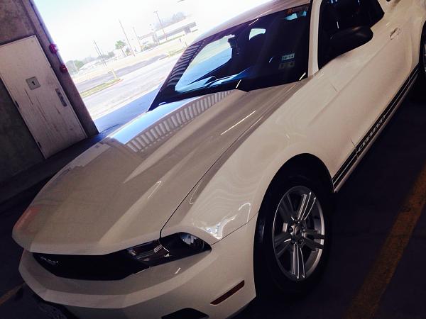 What did you do with your Mustang today?*-image-3182600536.jpg