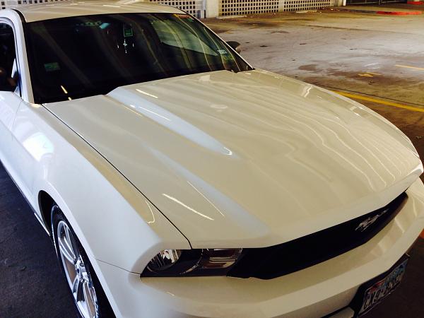 What did you do with your Mustang today?*-image-2789509437.jpg