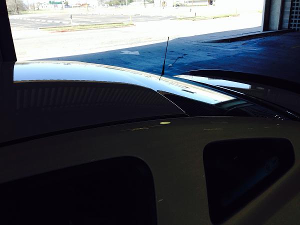 What did you do with your Mustang today?*-image-2299922538.jpg