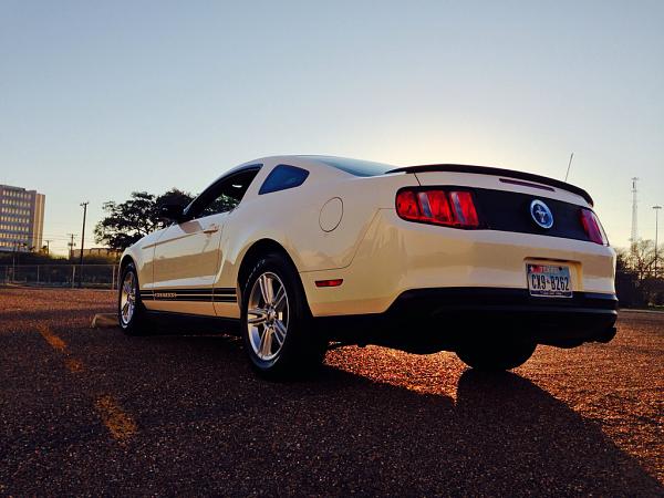 What did you do with your Mustang today?*-image-765934161.jpg