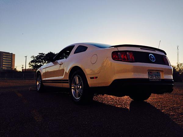 What did you do with your Mustang today?*-image-734208665.jpg