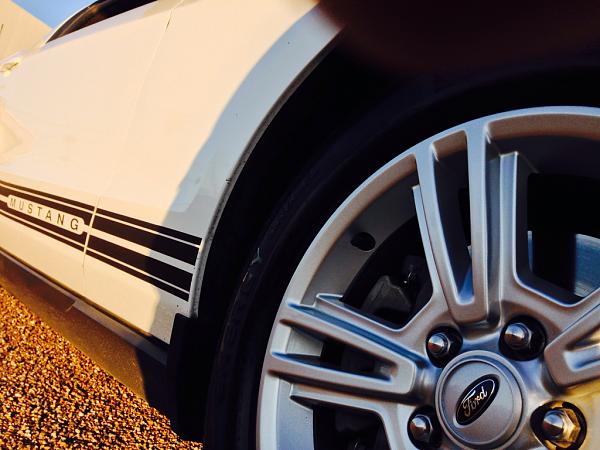 What did you do with your Mustang today?*-image-1832943651.jpg