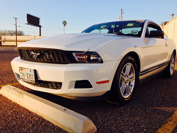 What did you do with your Mustang today?*-image-237614518.jpg