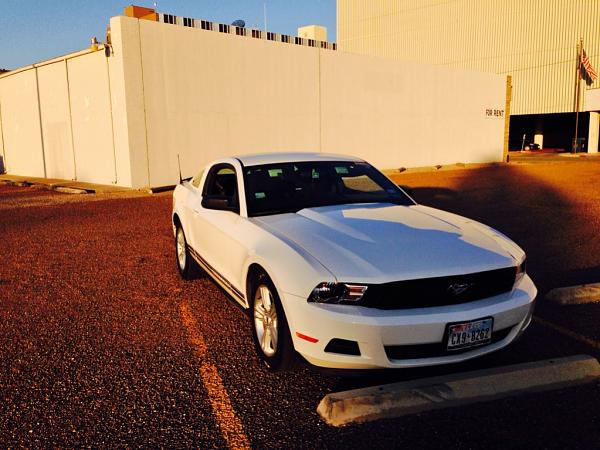 What did you do with your Mustang today?*-image-2892838608.jpg