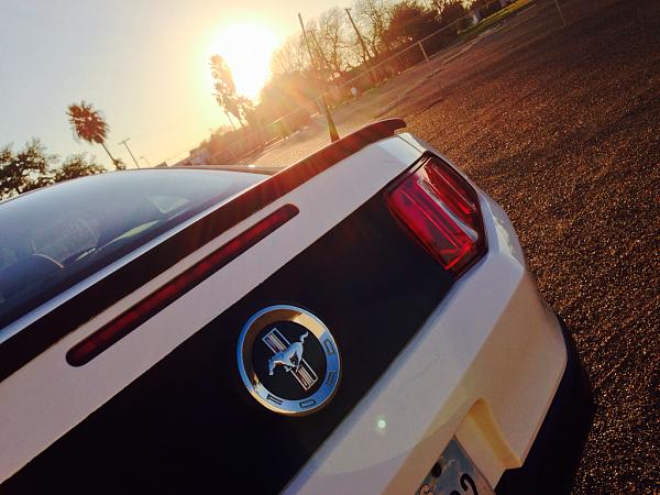 What did you do with your Mustang today?*-image-3949836112.jpg
