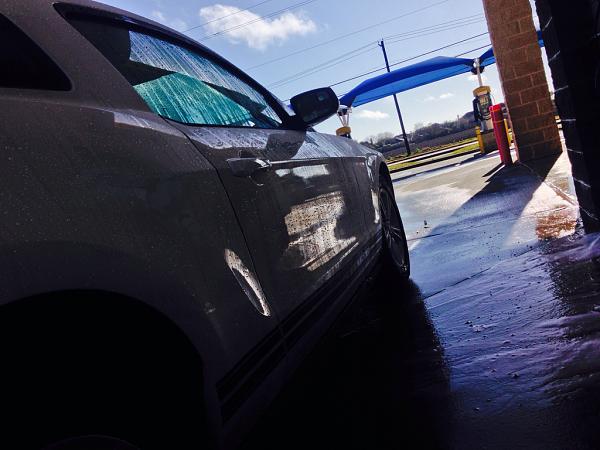 What did you do with your Mustang today?*-image-1004659287.jpg