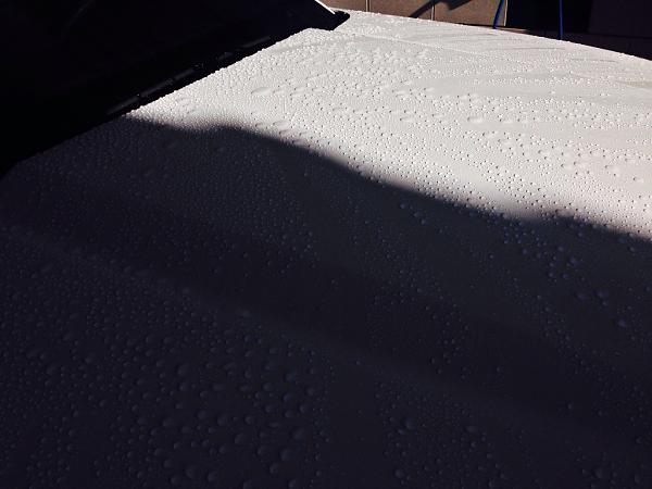 What did you do with your Mustang today?*-image-462382878.jpg