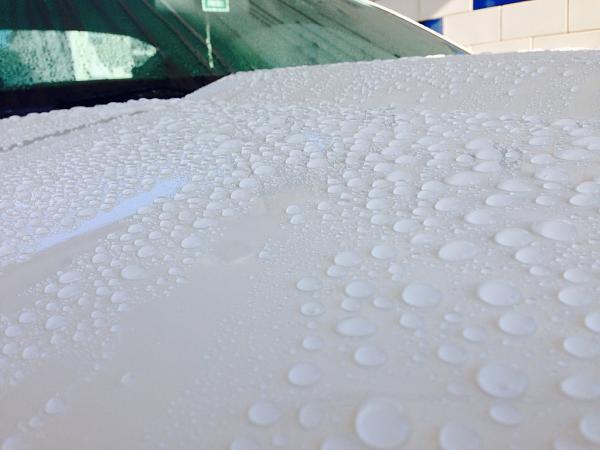 What did you do with your Mustang today?*-image-3636318066.jpg