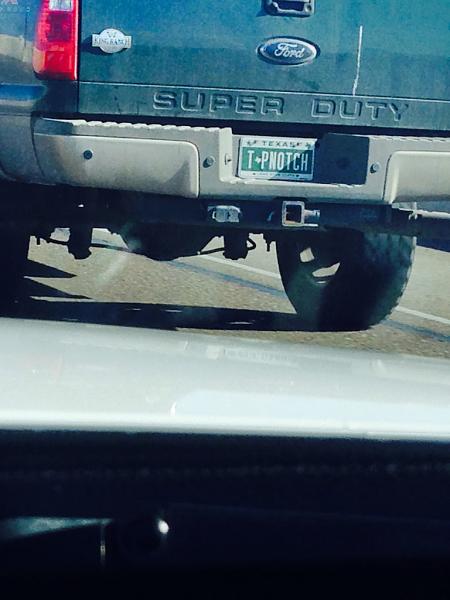 What did you do with your Mustang today?*-image-2456050948.jpg