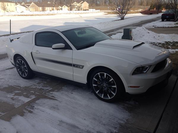 What did you do with your Mustang today?*-image-718344890.jpg