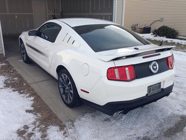 What did you do with your Mustang today?*-image-3011270682.jpg