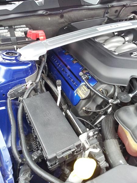 What did you do with your Mustang today?*-forum5.jpg