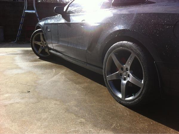 What did you do with your Mustang today?*-image-1688634061.jpg