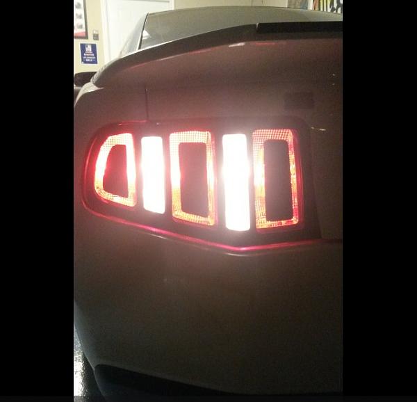 What did you do with your Mustang today?*-image-3163599415.jpg