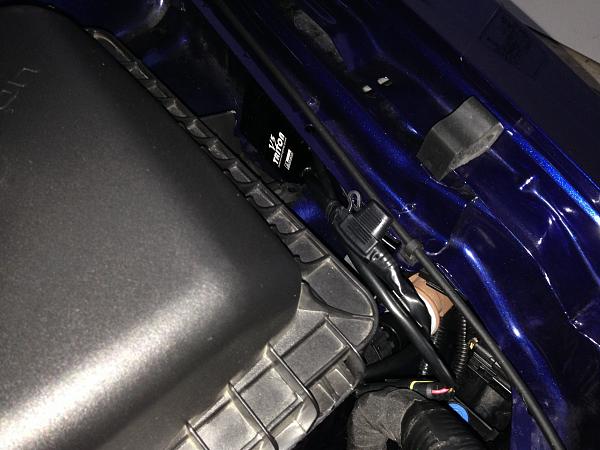 What did you do with your Mustang today?*-img_2901-1-.jpg