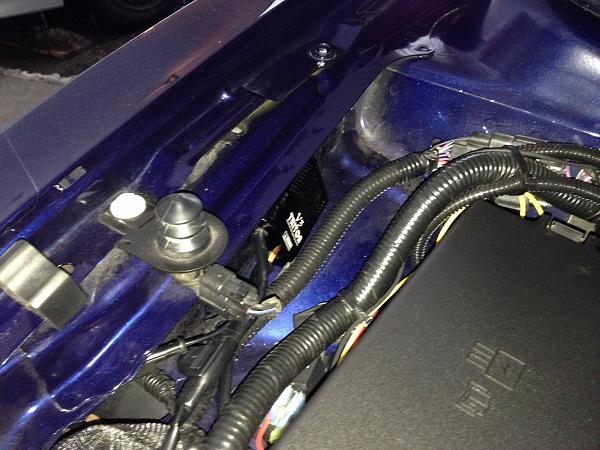 What did you do with your Mustang today?*-img_2900.jpg