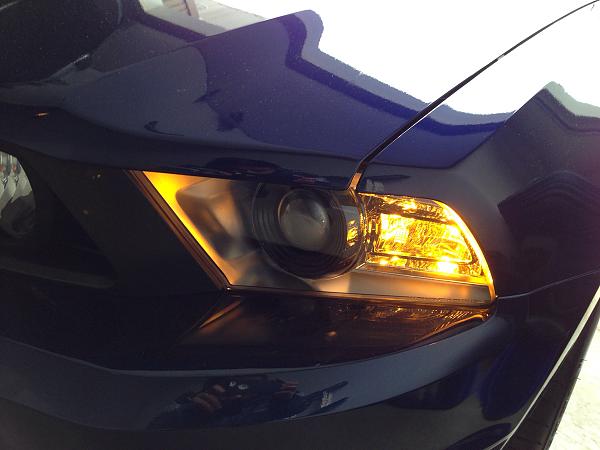 What did you do with your Mustang today?*-image-4184338500.jpg