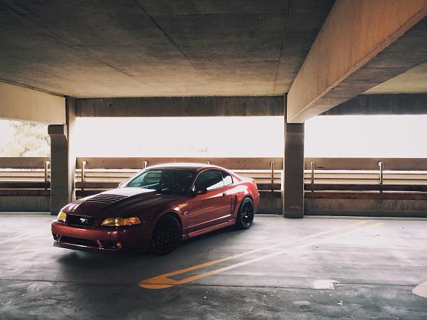 What did you do with your Mustang today?*-image-920661308.jpg